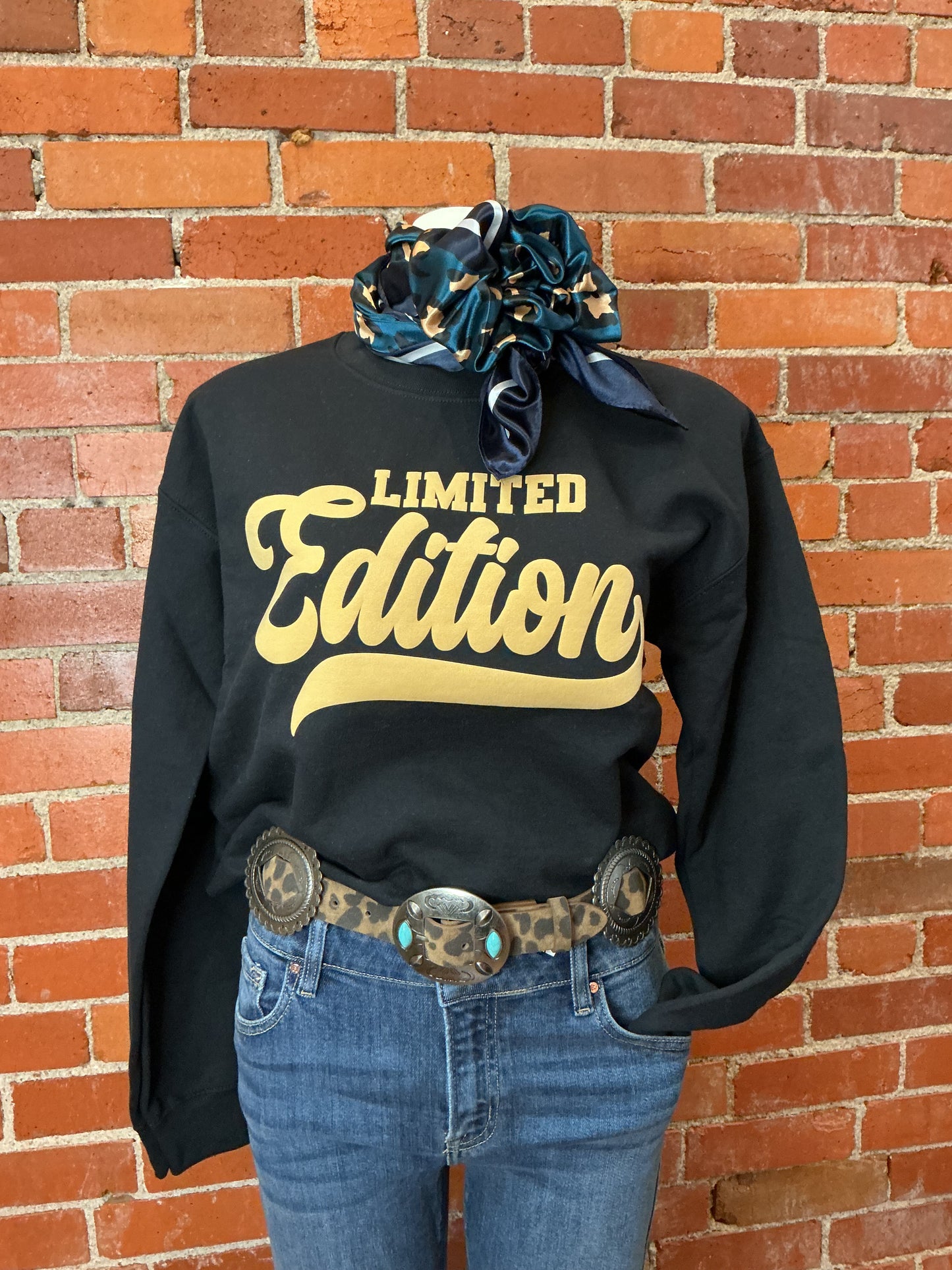 Brown Leopard Suede Concho Belt