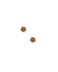 Screwback Stud Earrings - Rose Gold