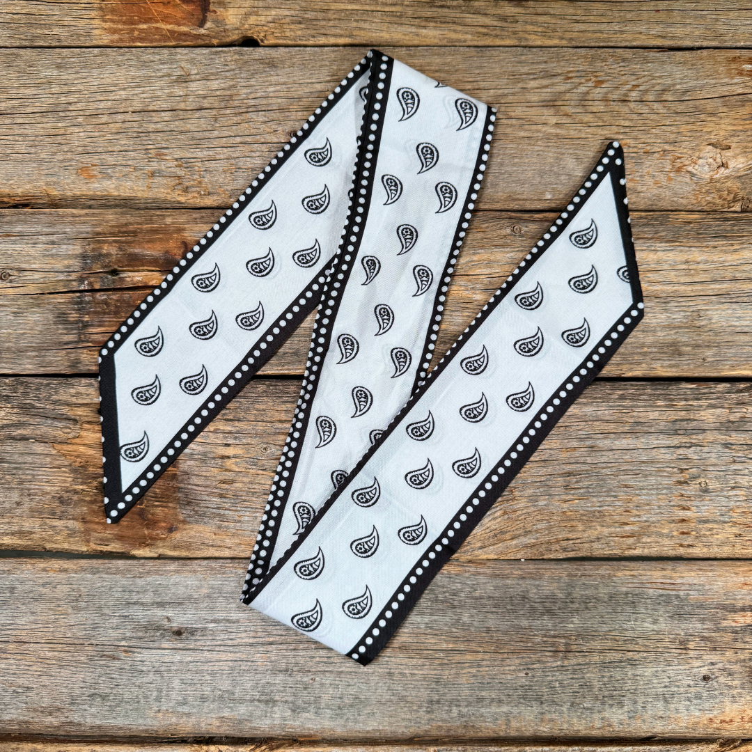 Black and White Paisley Twilly